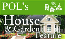 Princeton Online's Blogs