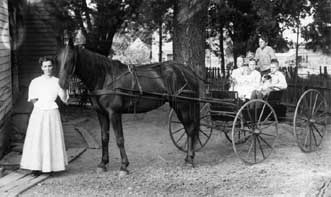 Horse drawn carriage :: Click to see a larger version