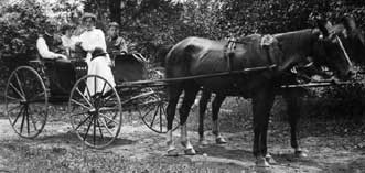 Horsedrawn carriage :: Click to see a larger version