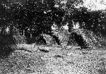 foreign laborers huts :: Click to see a larger version