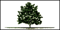 Robert Wells Tree & Landscape, Inc.