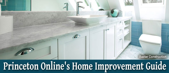 Princeton Onlines Home Improvement Guide
