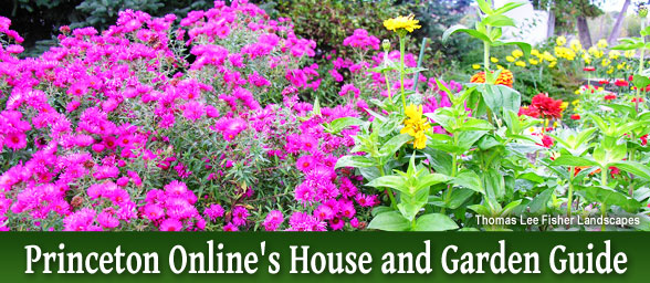 Princeton Onlines House and Garden Guide
