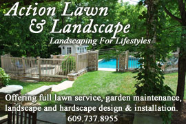Action Lawn and Landscape