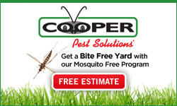 Cooper Pest Solutions