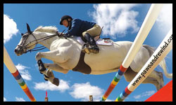 Equestrian Grand Prix and Family Day