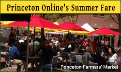 Princeton Online's Summer Fare Care Guide