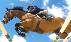 Princeton Show Jumping