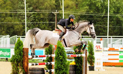 Princeton Show Jumping