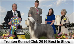 Trenton Kennel