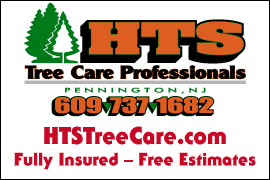 HTS Tree Care
