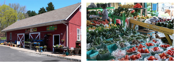 Homestead Farm Market