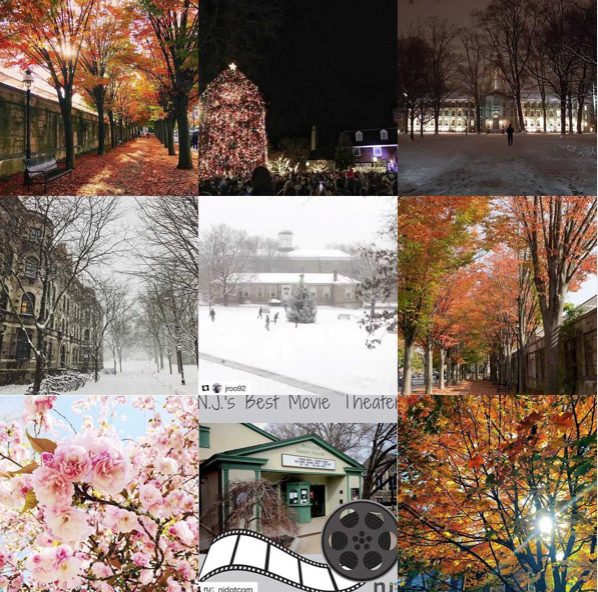 Princeton Online Instagram Best of 2017